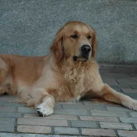 Dei Calchi - Di Charme 3* San Felice sul Panaro