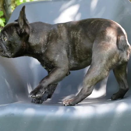 לינה וארוחת בוקר Dei Calchi - Di Charme San Felice sul Panaro