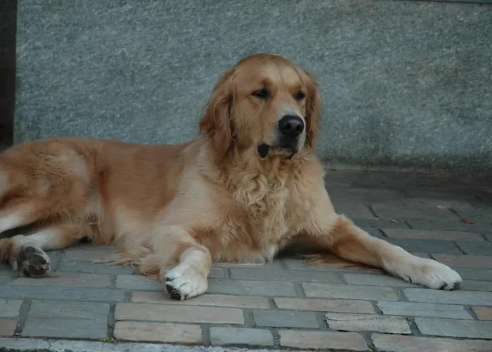 Dei Calchi - Di Charme 3* San Felice sul Panaro